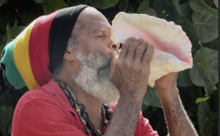Slavery, Emancipation, and the Continued March Toward Liberation in the Virgin Islands
